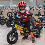 Fury Pro-X FS 12in 36V