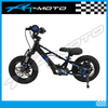 12in_Purspeed_extreme_racing_bike
