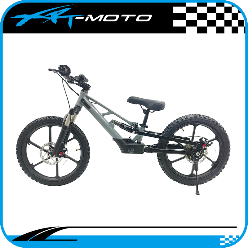 20in_FS_grey_Full-suspension_XRT_Reble_PRO-X