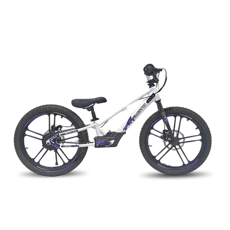 Rebel Eco 20in