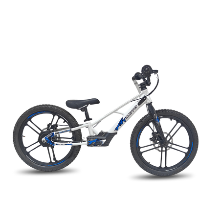 Rebel Eco 20in