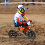 Fury Pro-X FS 12in 36V