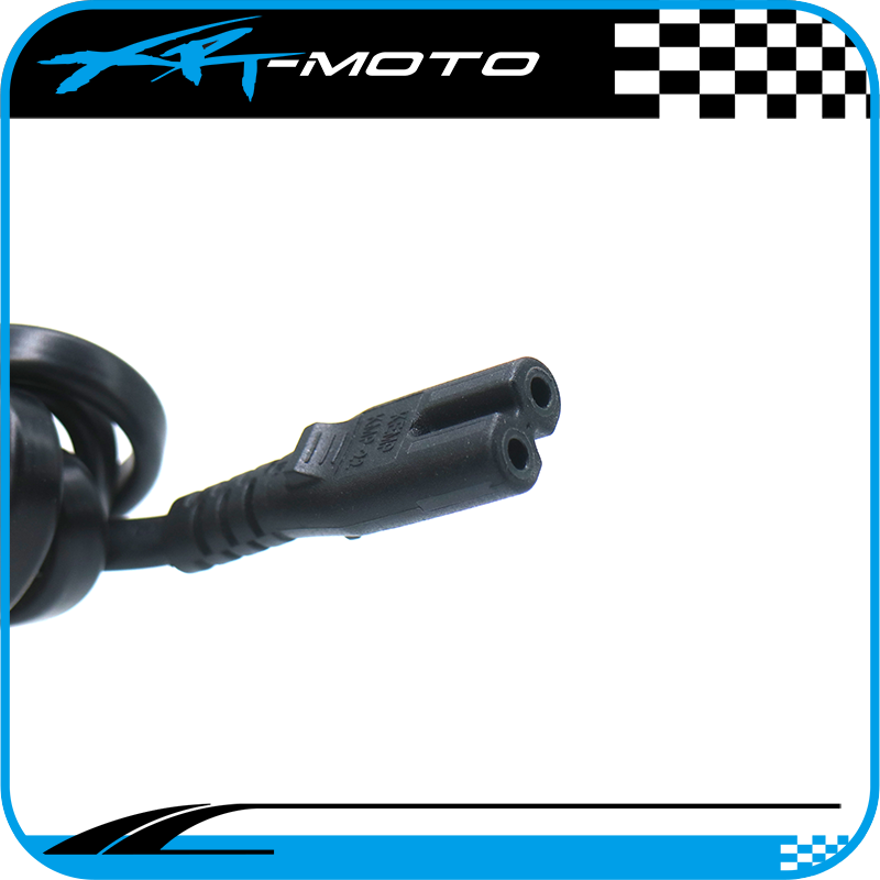 Electric_bike_battery_charger_wire_110V