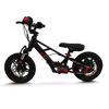 Fury-X 12in