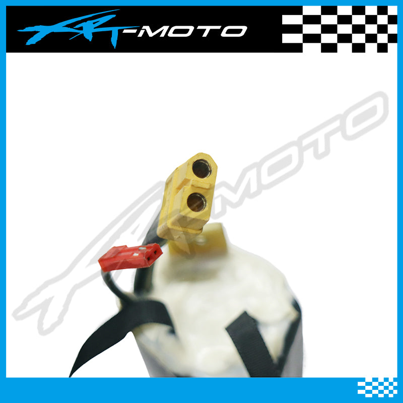 XRT/PS/TS 52v-5.0Ah Li-ion Race Battery