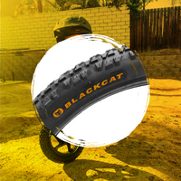 Stacyc Tires, Tubes, & Wheels