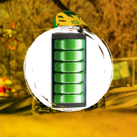 Stacyc Batteries & Chargers