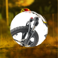 Stacyc Front Forks