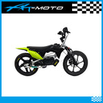 12in_16in_stacyc_plastic_side_panel_black_green