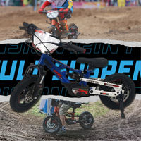 Fury Pro-X FS 12in 36V