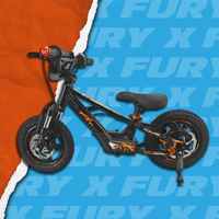 Fury-X 12in