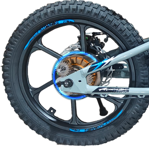 Rear_hub_motor_350W_GD_motor_brushless_hub-motor_16inch_wheel_16in_tire_xrt_moto_stacyc