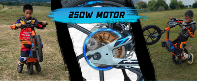 XRT_moto_250W_motor_hub_hub-motor_GD_motor_quick_swap_battery_16inch_16in