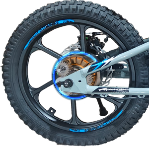 rear_wheel_250W_GT+_xrt_moto_GT_plus_hub_motor_GD_gear_drive_motor_stacyc_16inch