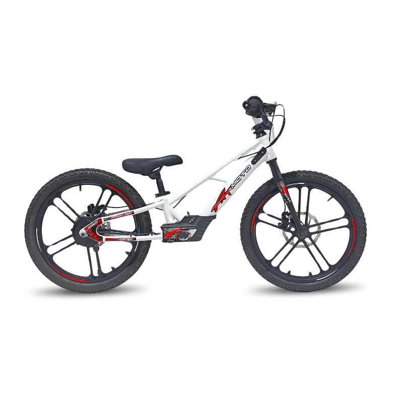 Rebel Eco 20in