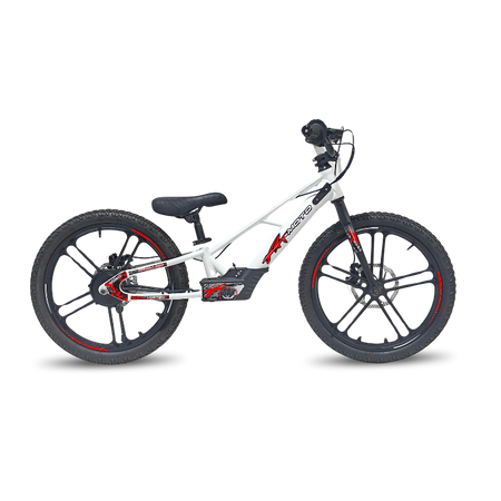 Rebel Eco 20in