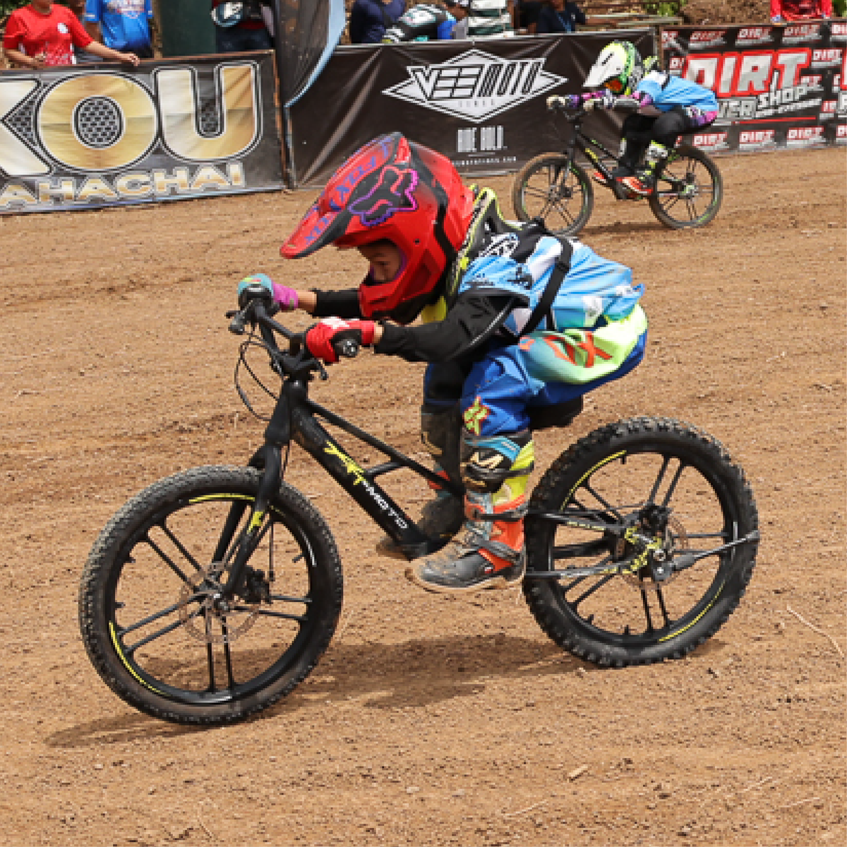 xrt moto 20in rebel 350w, 36v, purspeed kids electric bike