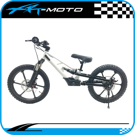 mid drive electric bicycles Mid-Drive Electric Bike Reviews