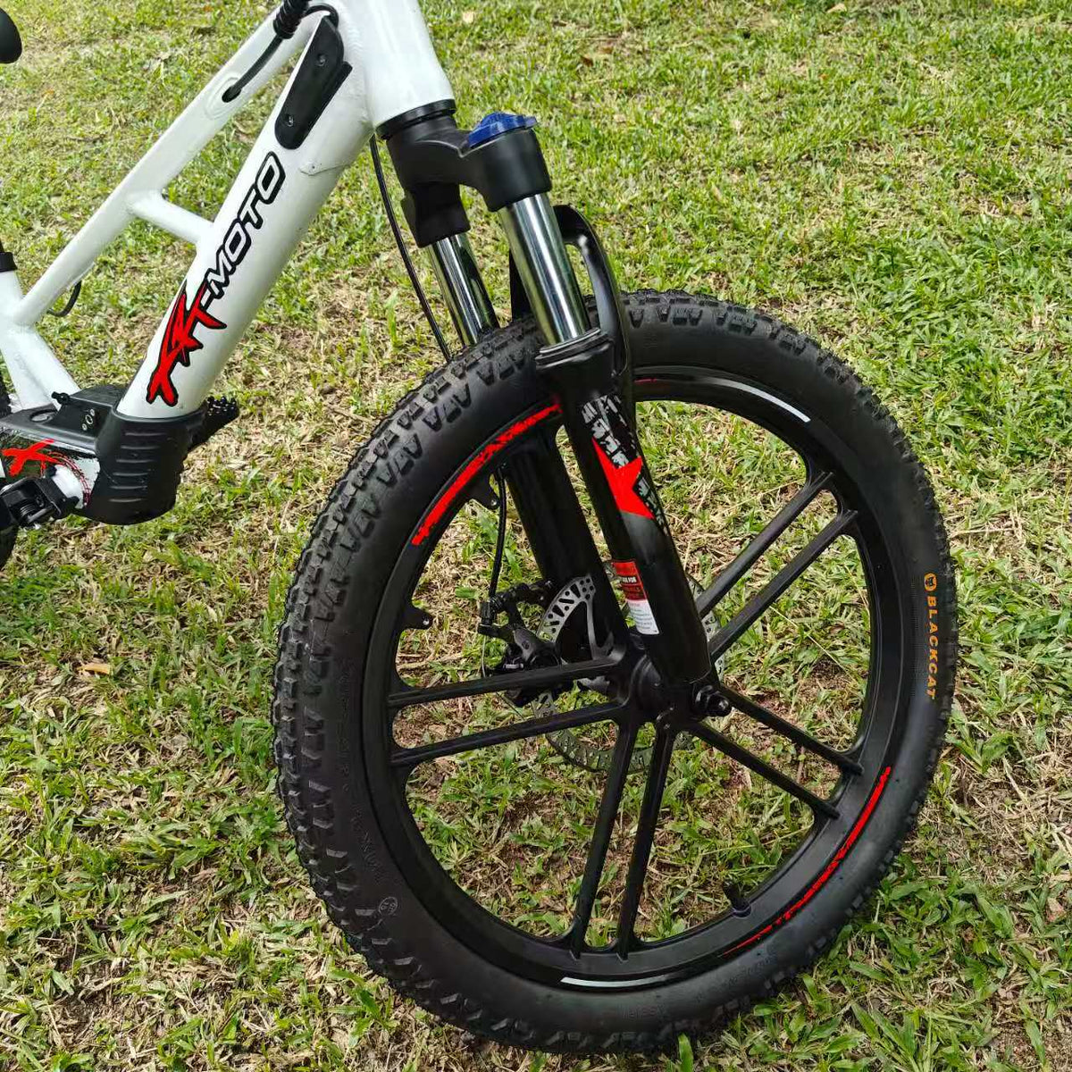 20in e20x Orion front wheel Stacyc, xrt moto, purspeed