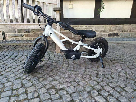 Fury Eco 12in