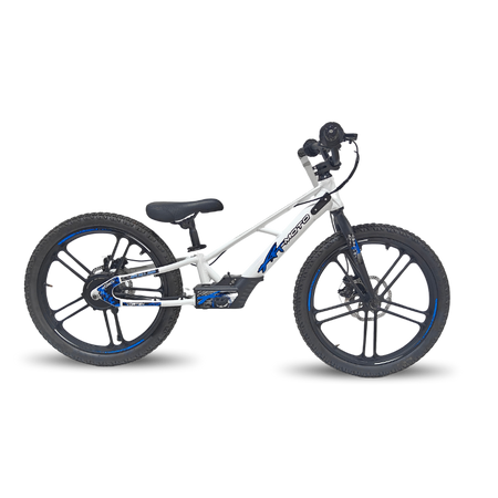 Rebel Eco 20in