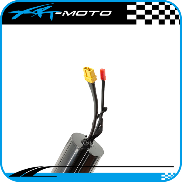 xrtmoto pur-speed thumpstar tse 16 36v 5.2Ah replacement battery