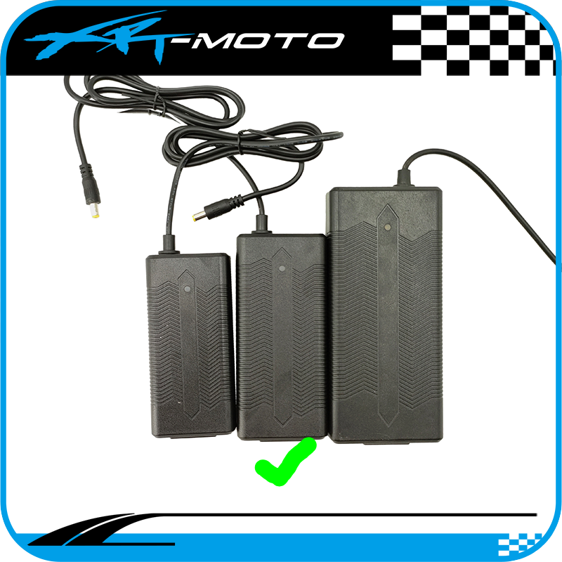 36v_charger_Li-Ion_charger_kids_electric_bike_revvi_Tanaki_Voltaic