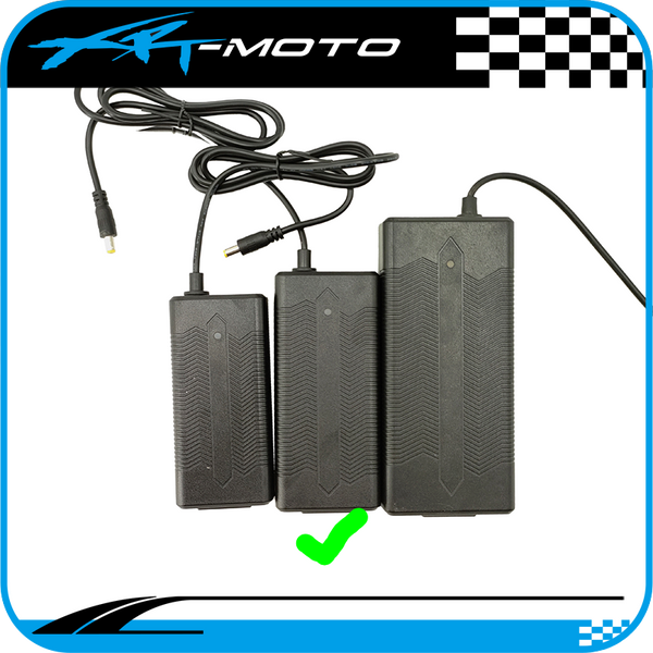 36v_charger_Li-Ion_charger_kids_electric_bike_revvi_Tanaki_Voltaic