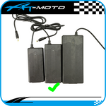 36v_charger_Li-Ion_charger_kids_electric_bike_revvi_Tanaki_Voltaic