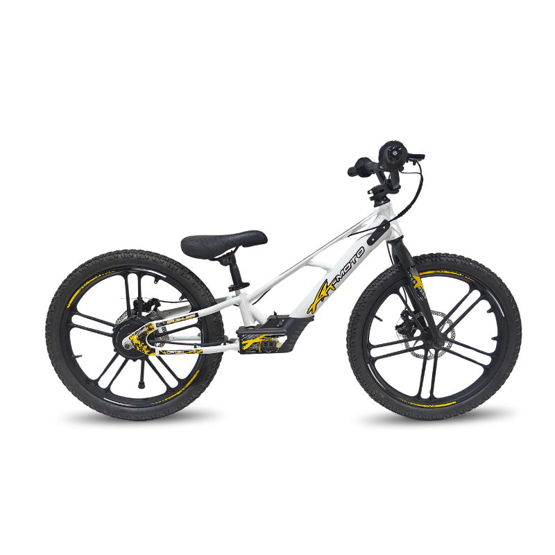 Rebel Eco 20in