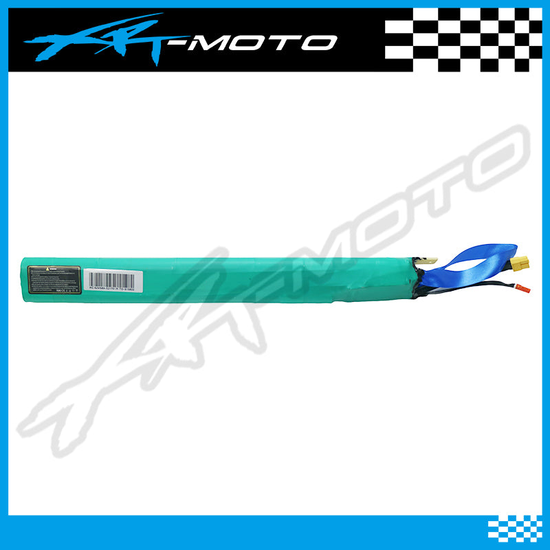 kids electric bike battery 48V XRT MOTO