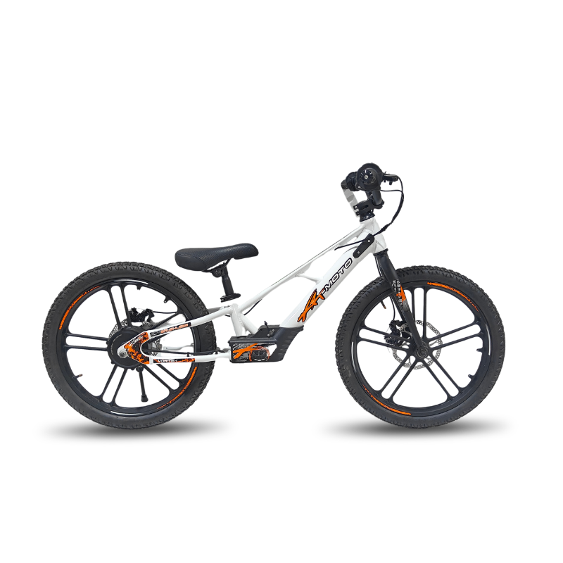 Rebel Eco 20in