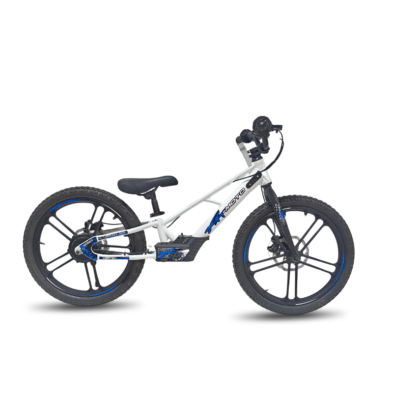 Rebel Eco 20in