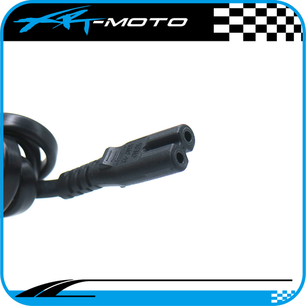 Electric_bike_battery_charger_wire_110V