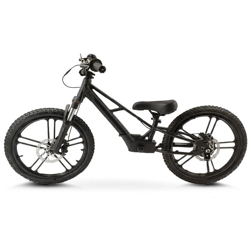 Rebel Pro 20in