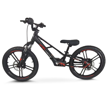 Rebel Eco 20in