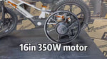 16in stacyc orion xrt moto purspeed 350w hub motor