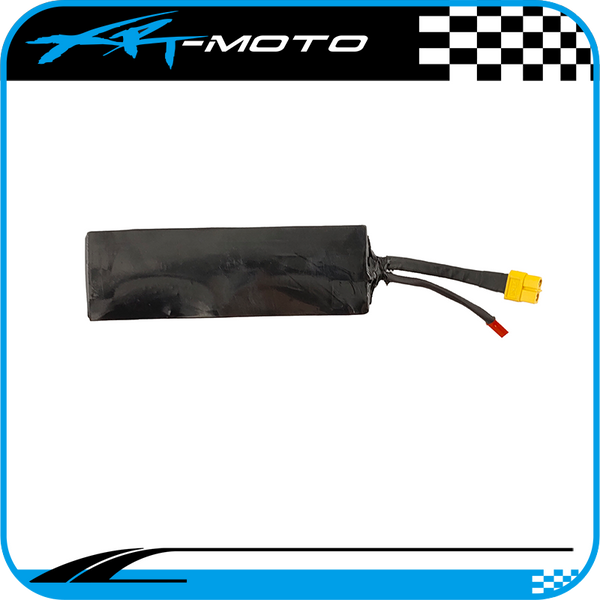 Stacyc replacement battery 36V